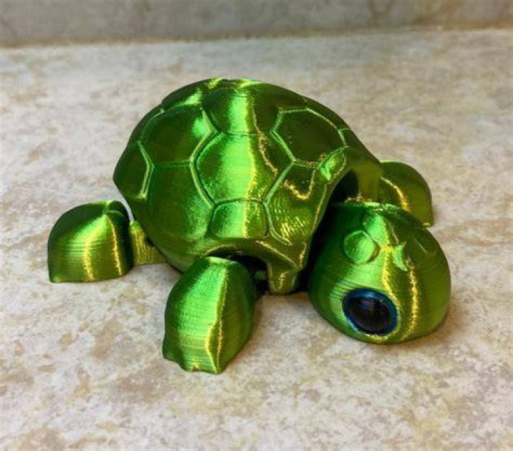 3D Printed Turtles: A Creative Guide To Designing And Printing Unique Replicas