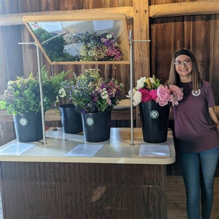 Affordable Flowers By EM: Your Source For Stunning Bouquets And Arrangements