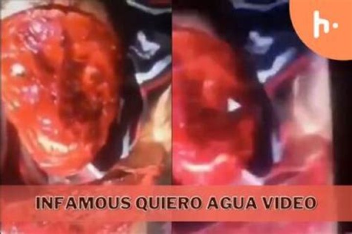 Authentic Quiro Agua Gore Video: Witness The Grisly Reality