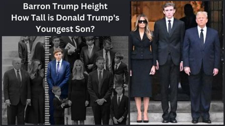 Barron Trump's Phenomenal Height: Uncovering The Statistics