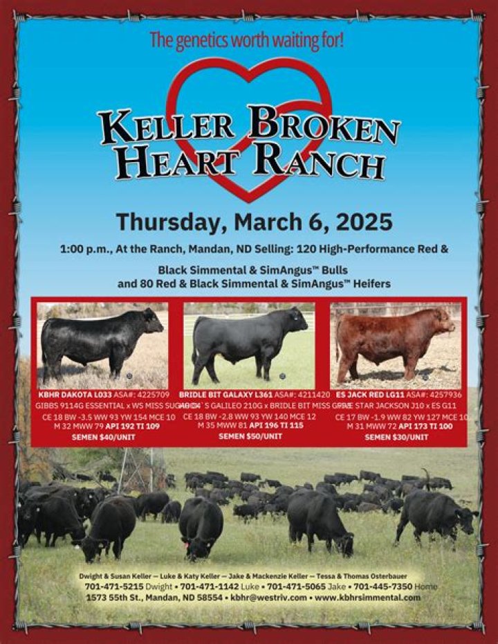Discover The Serenity Of Keller's Broken Heart Ranch: An Oasis For Healing And Renewal