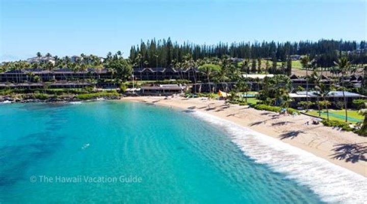 Find The Best Kygo Hawaii Tickets | Secure Your Seat Today