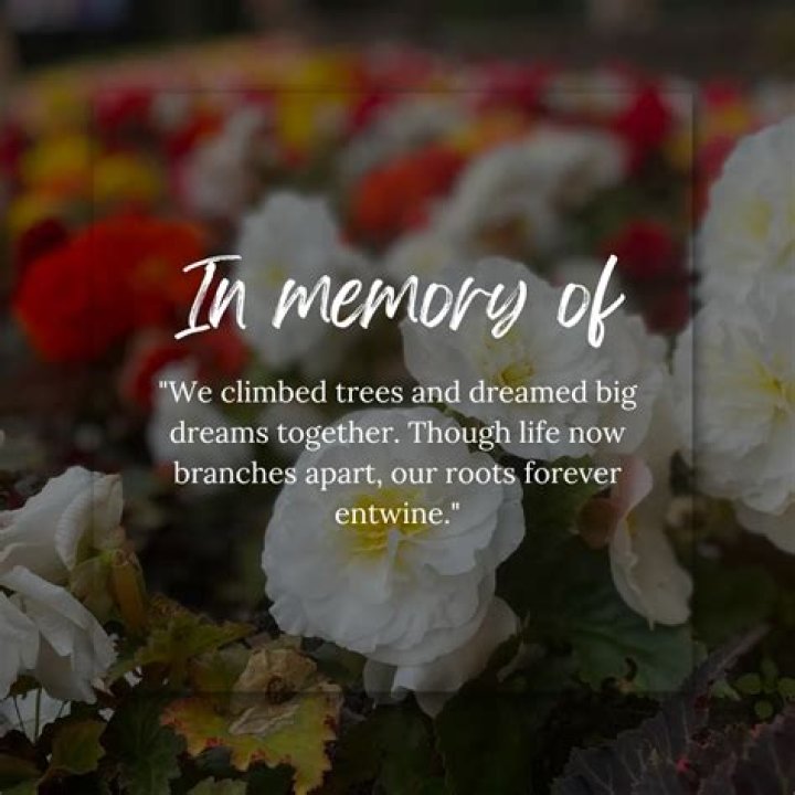 In Memoriam: Remembering The Life Of Dana Haynes