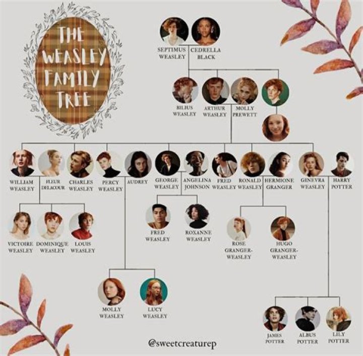 Mamma Weasley: The Matriarch Of The Weasley Clan