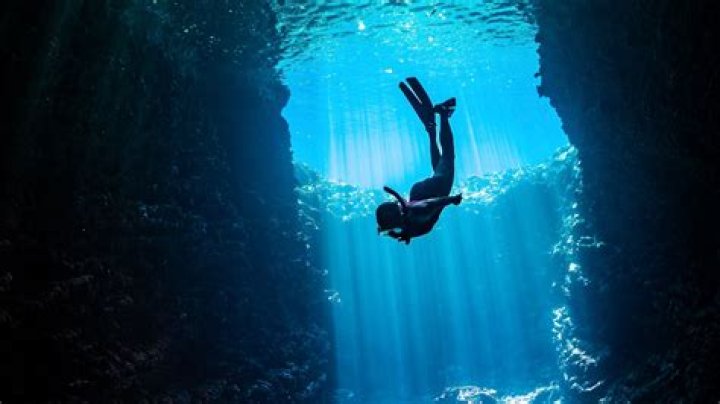 Molly Noblitt: A Deep Dive Into The OSMS Phenomenon