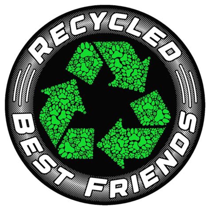 Rediscovering Devoted Companions: The Revival Of Recycled Best Friends