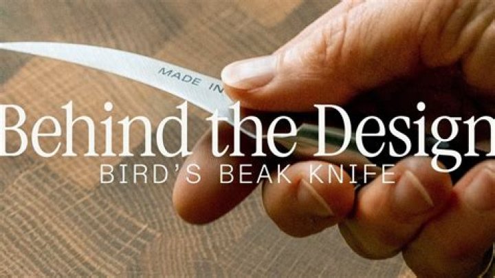 The Ultimate Guide To Bird's Beak Knives: Your Essential Tool For Wilderness Survival