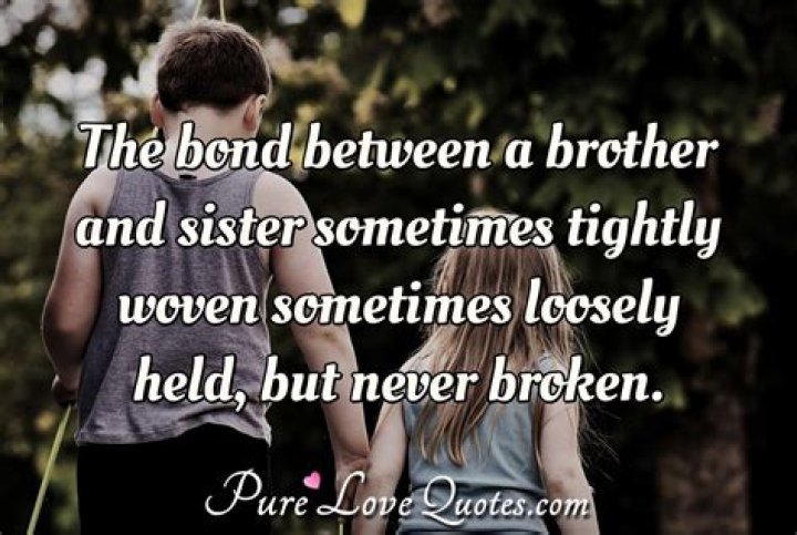 The Unparalleled Bond: Stephen Amell's Brotherly Connection