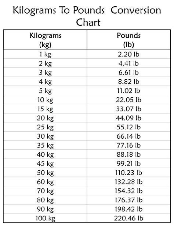 Understanding The Weight Conversion: How Much Is 53.5 Kg In Pounds?